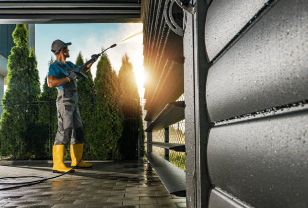 Best Window and Screen Pressure Cleaning in Springerville, AZ